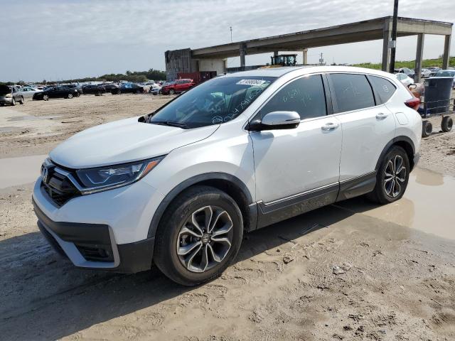 2020 HONDA CR-V EXL 2020 image