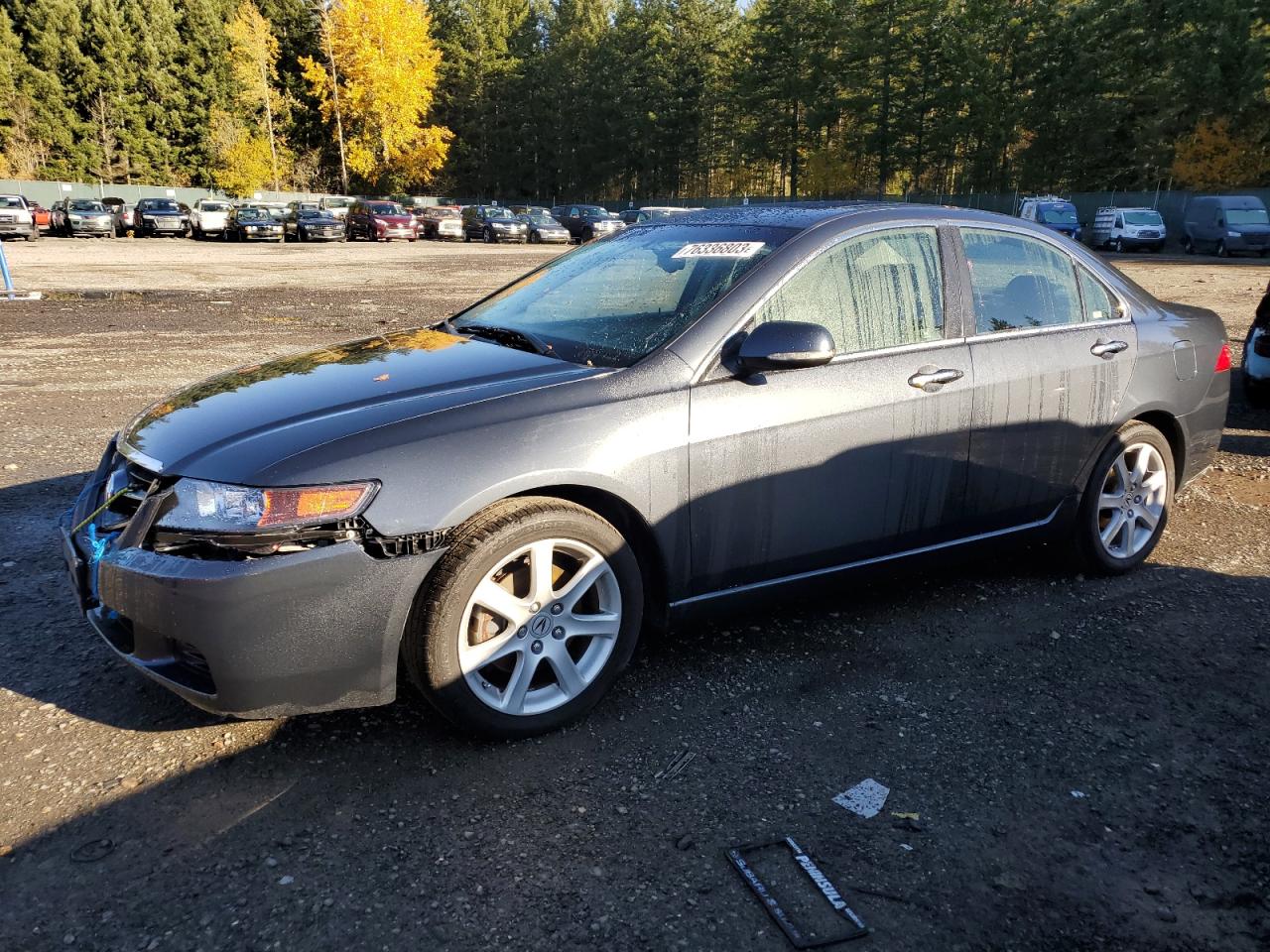 2004 ACURA TSX  2004 image