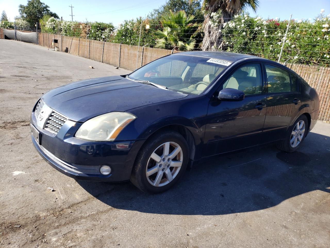 2004 NISSAN MAXIMA SE 2004 image