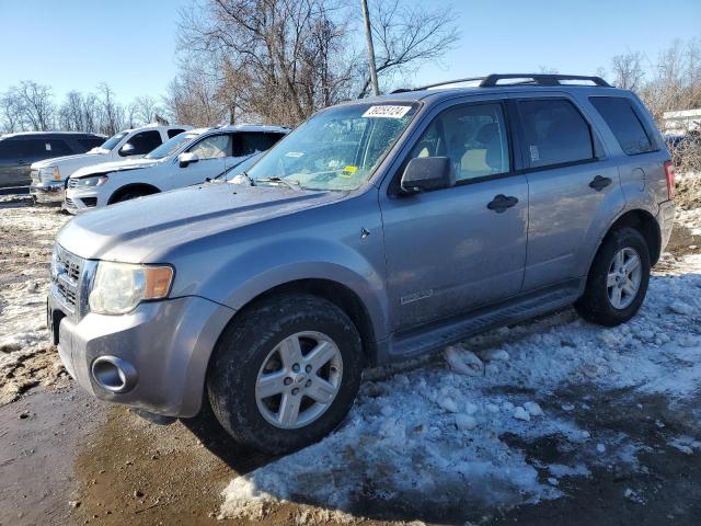 Image 1 of 2008 FORD ESCAPE HEV 2008 with VIN 1FMCU49H28KB89747