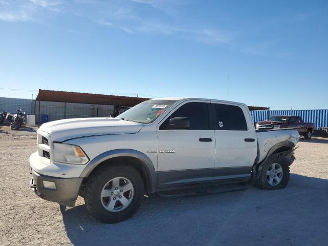 Obraz 2009 DODGE RAM 1500  2009