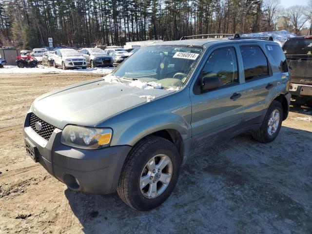 2007 FORD ESCAPE XLT 2007 image