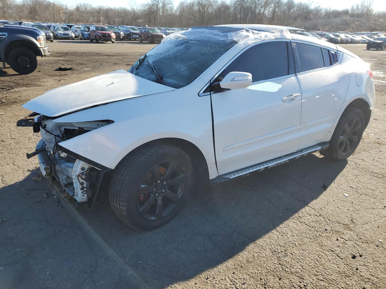 Obraz 2010 ACURA ZDX TECHNOLOGY 2010