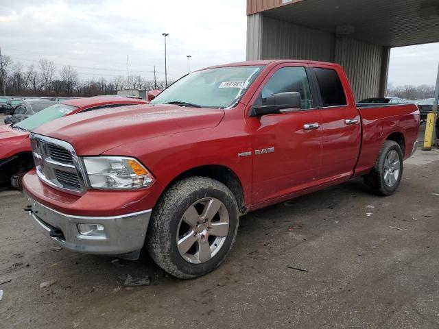 2010 Dodge RAM 1500 2010 image