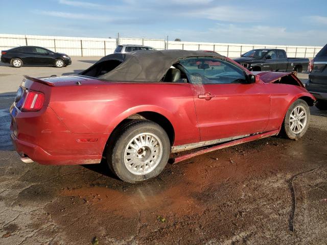Obraz 3 z 2010 FORD MUSTANG  2010 z VIN 1ZVBP8EN1A5165029