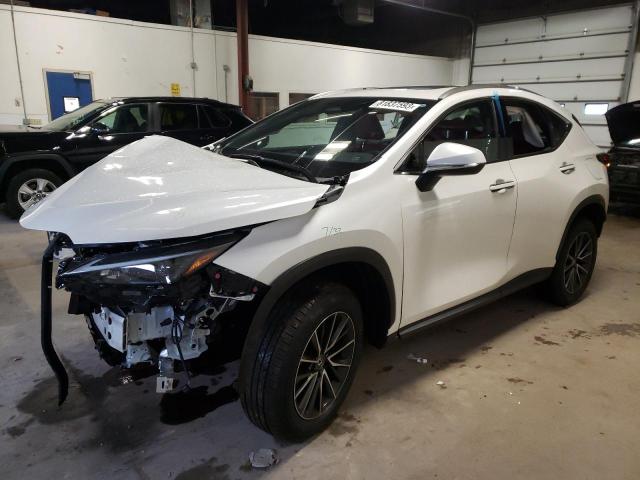 2024 LEXUS NX 350 BASE 2024 image