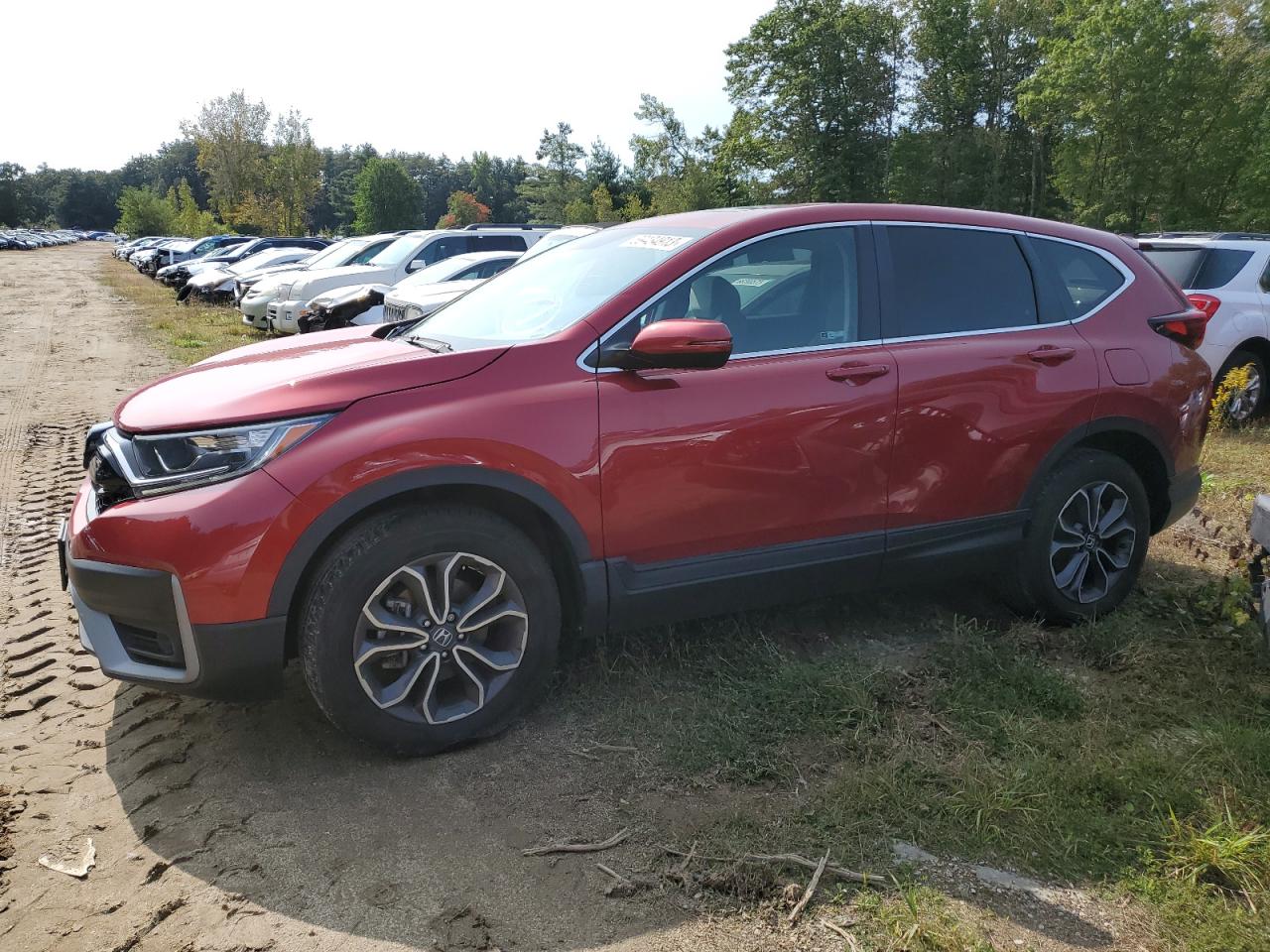 Image 1 of 2021 HONDA CR-V EX 2021 with VIN 2HKRW2H59MH613566
