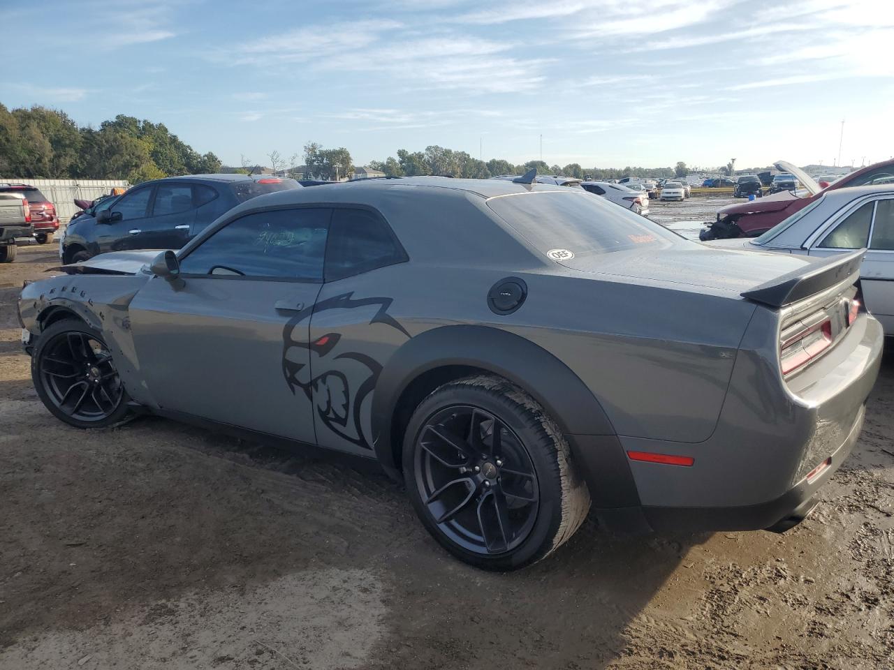 Изображение 2 2019 DODGE CHALLENGER SRT HELLCAT REDEYE 2019 с VIN 2C3CDZL95KH586780