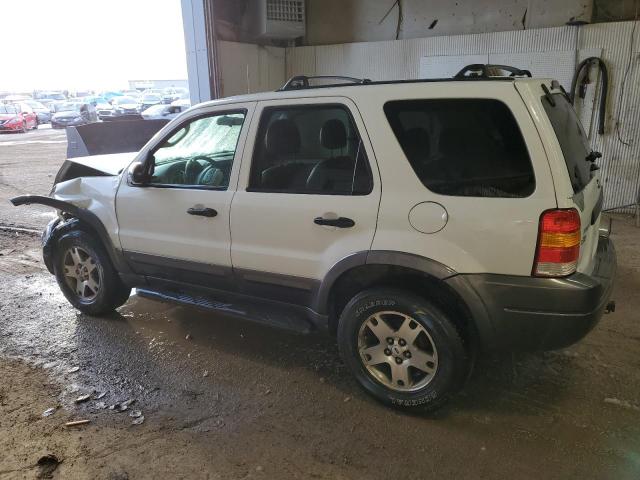 2003 FORD ESCAPE XLT 2003 image