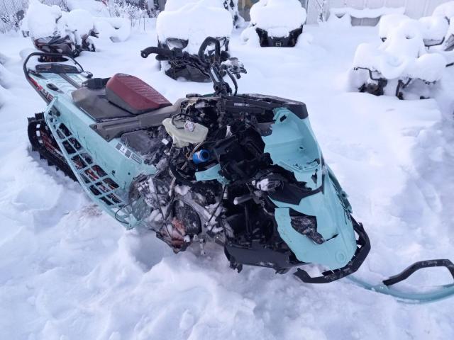 2024 SKI DOO FREERIDE 2024 image