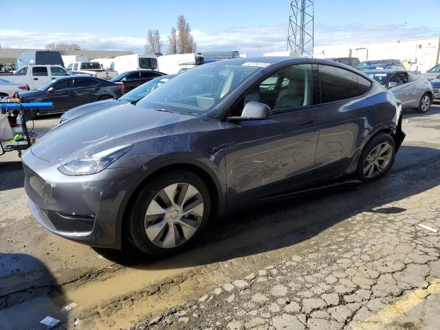 2023 TESLA MODEL Y  2023 image