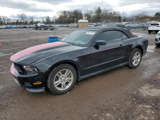 Image 1 of 2011 FORD MUSTANG  2011 with VIN 1ZVBP8EM5B5140403