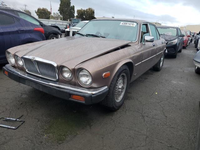 Obraz 1 z 1985 JAGUAR XJ SOVERGN 1985 z VIN SAJJDALW4CC425506