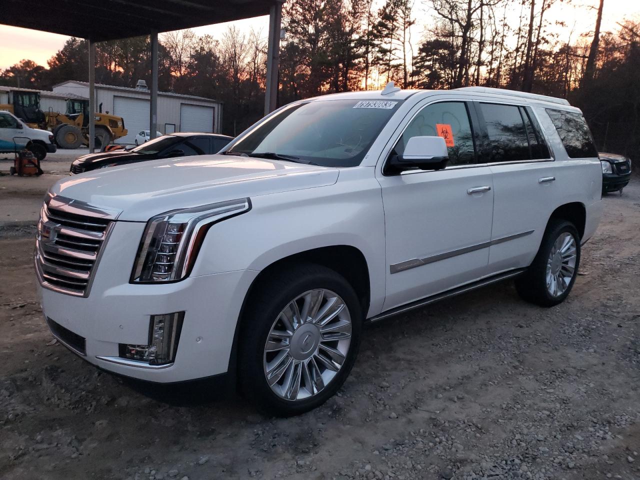 2020 CADILLAC ESCALADE PLATINUM 2020 image