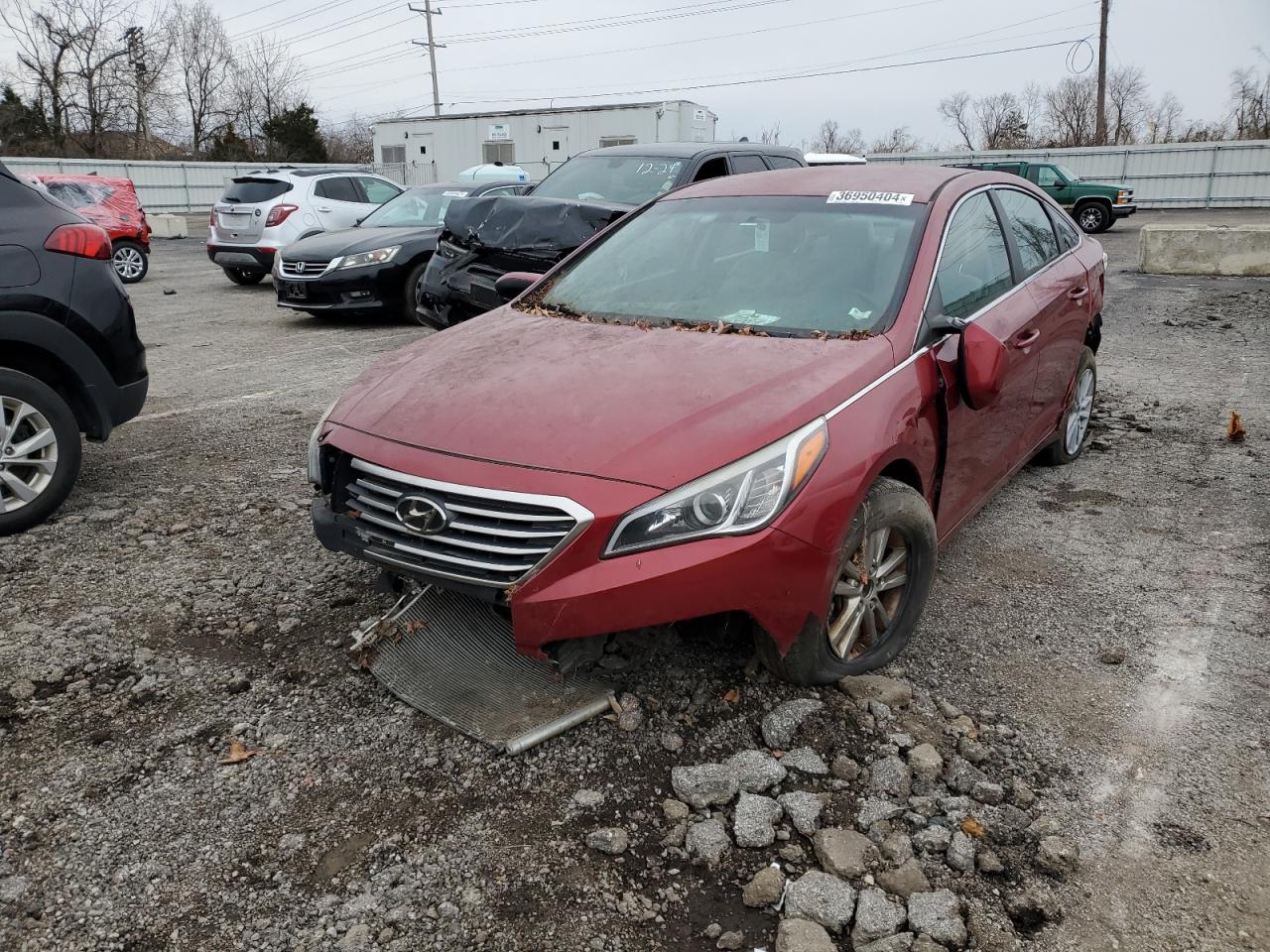 Obraz 1 z 2015 HYUNDAI SONATA SE 2015 z VIN 5NPE24AF3FH010530