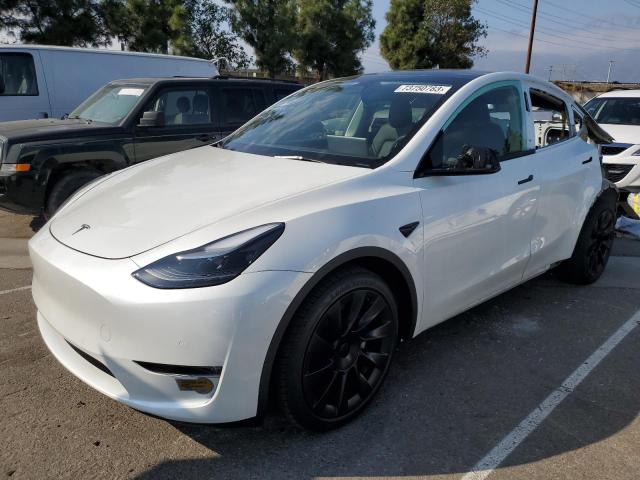 2022 TESLA MODEL Y  2022 image
