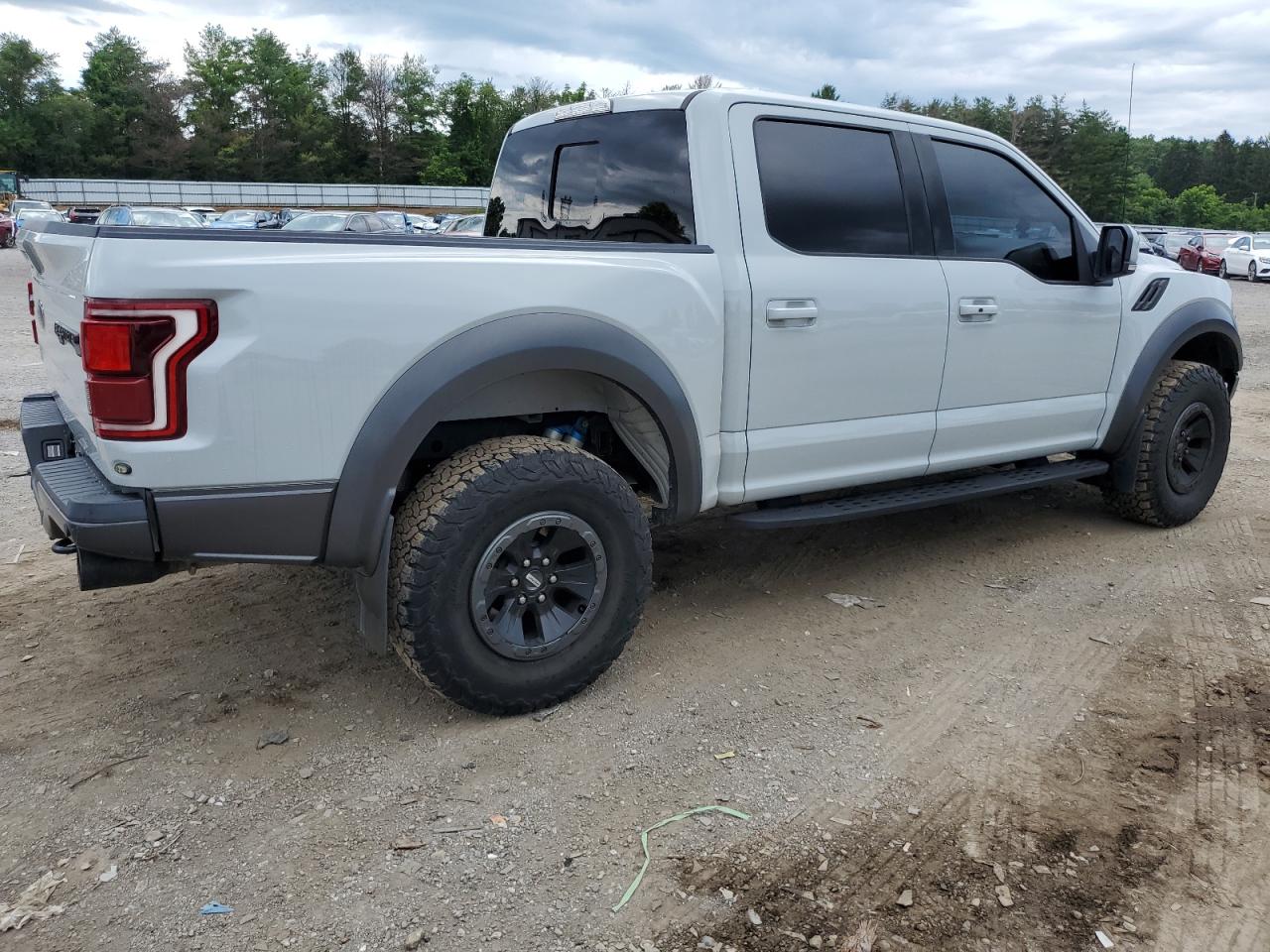 Image 3 of 2017 FORD F150 RAPTOR 2017 with VIN 1FTFW1RG2HFC90216