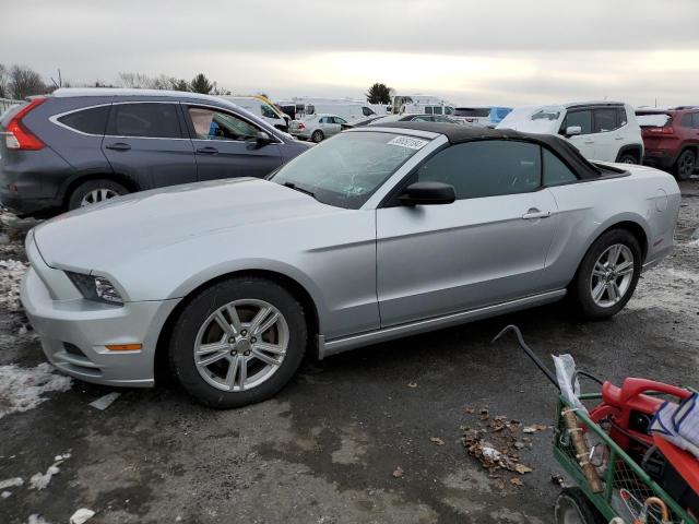 Image 1 of 2013 FORD MUSTANG  2013 with VIN 1ZVBP8EM0D5237057