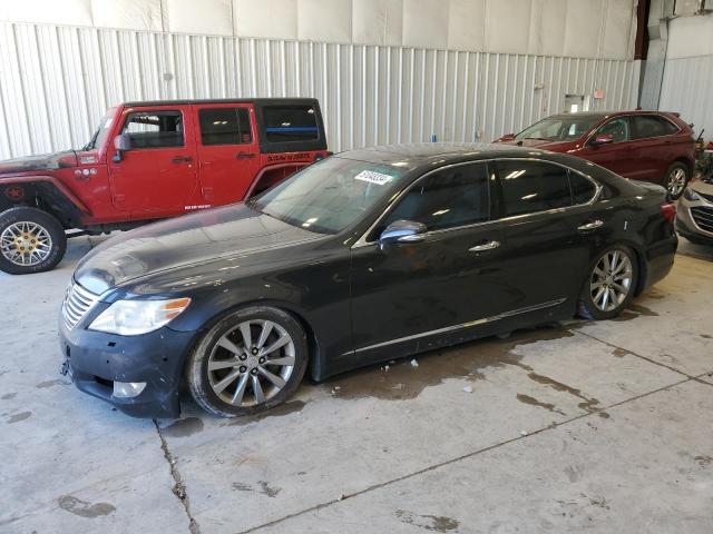 2010 LEXUS LS 460 2010 image