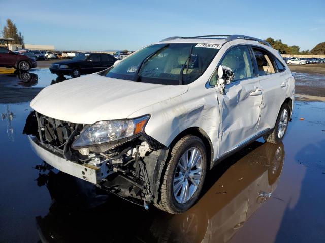 2010 LEXUS RX 450 2010 image
