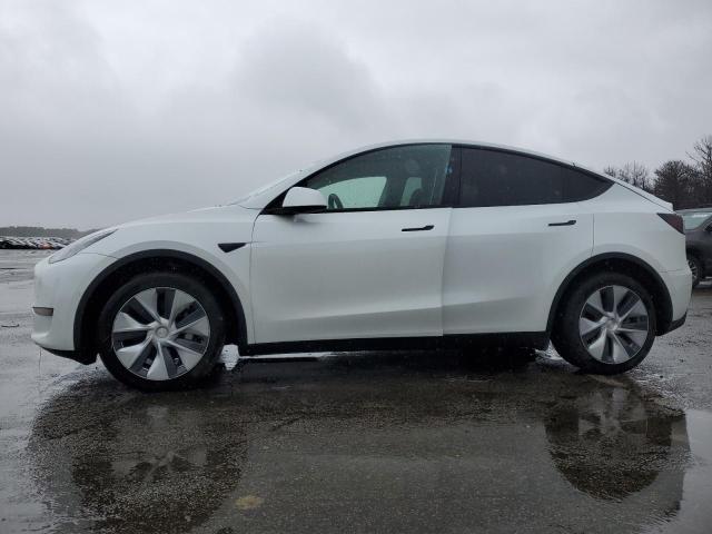 2022 TESLA MODEL Y  2022 image