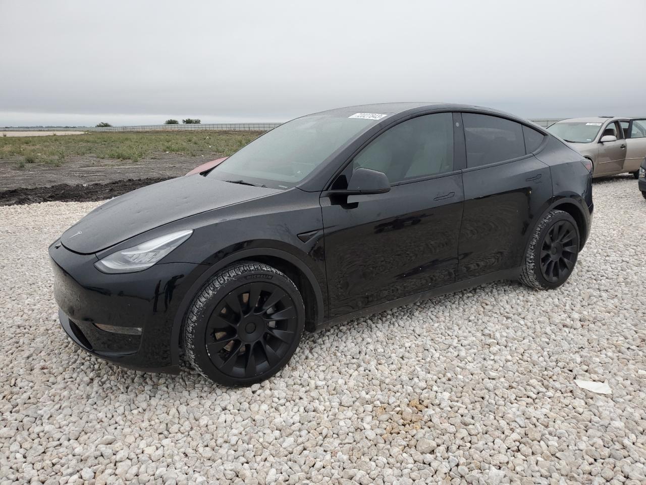 2021 TESLA MODEL Y  2021 image