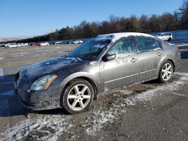 2006 NISSAN MAXIMA SE 2006 image