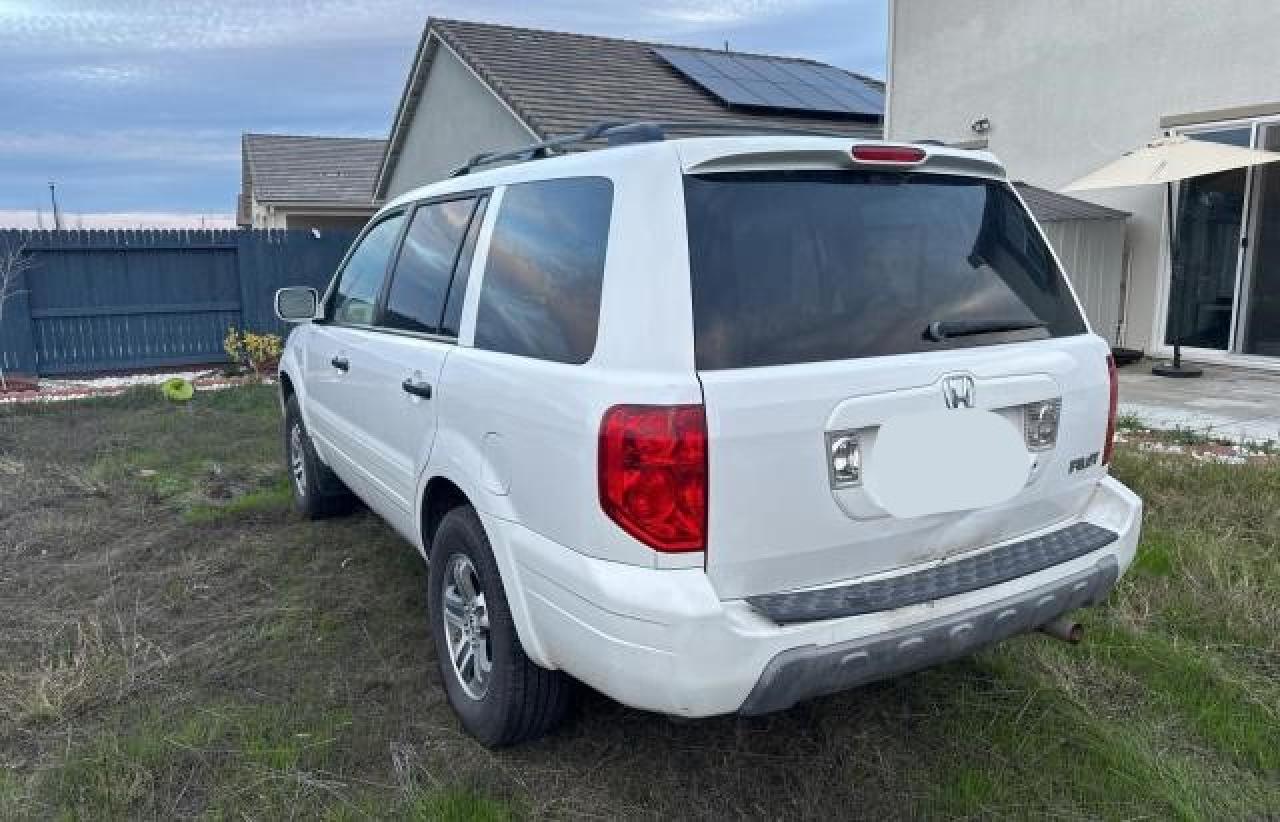 Image 3 of 2005 HONDA PILOT EXL 2005 with VIN 2HKYF18785H546001