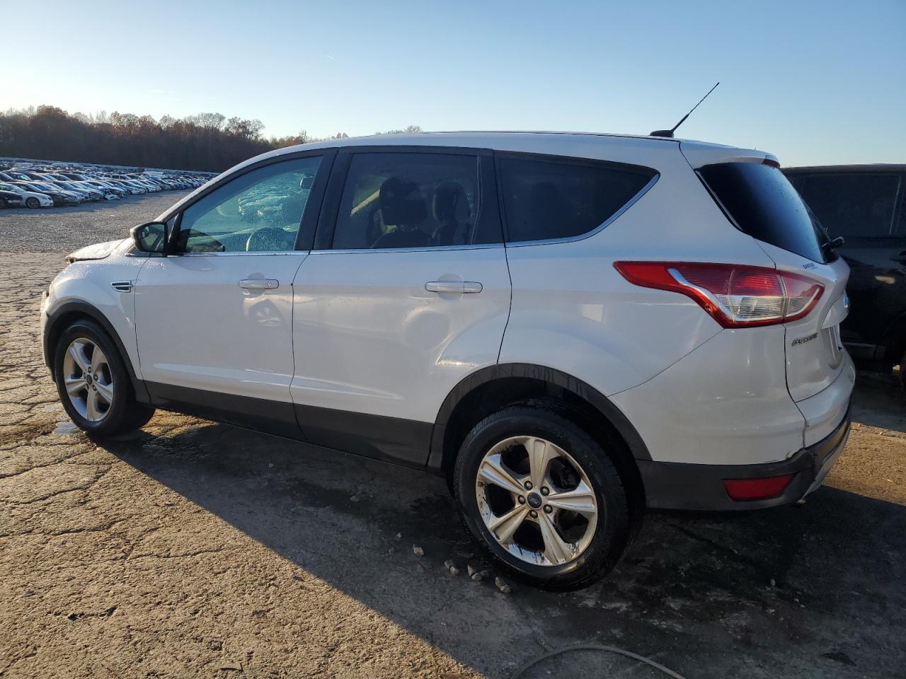 Obraz 2 z 2014 FORD ESCAPE SE 2014 z VIN 1FMCU0GX3EUA91636
