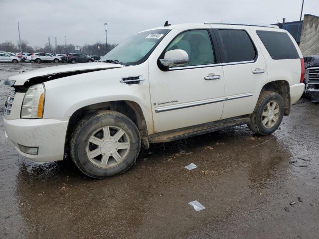 Obraz 2007 CADILLAC ESCALADE LUXURY 2007