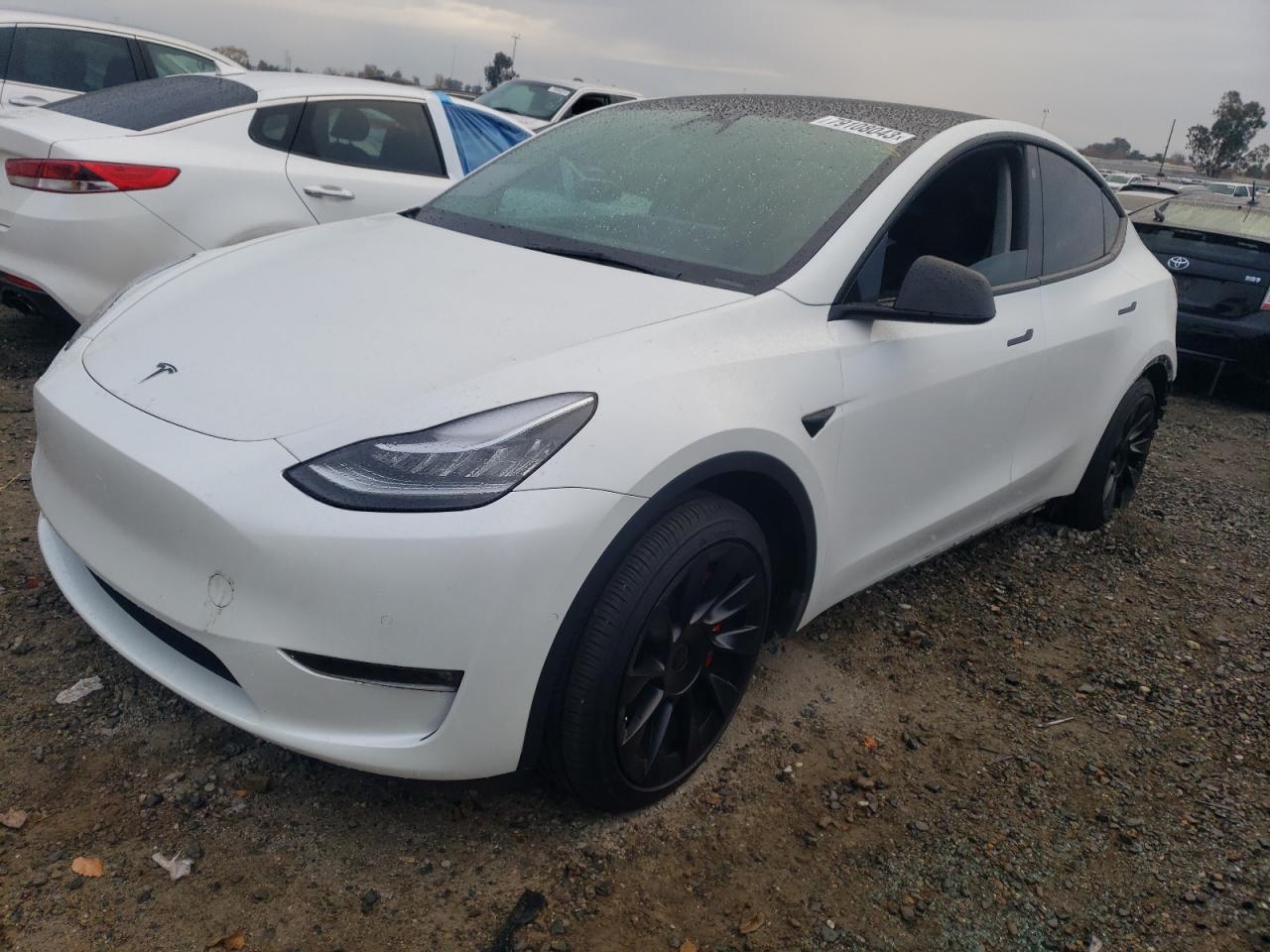 2021 TESLA MODEL Y  2021 image