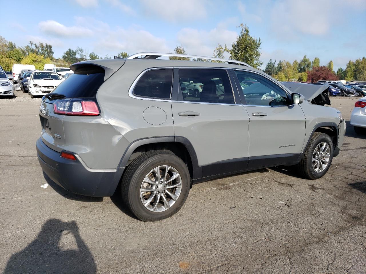 Изображение 3 Jeep Cherokee Latitude Plus 2020 с VIN 1C4PJMLB5LD569018