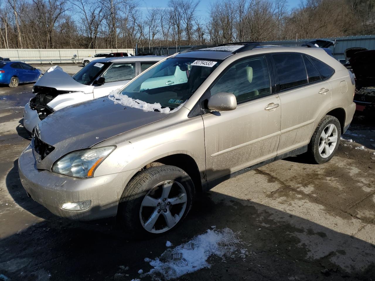 2007 LEXUS RX 350 2007 image