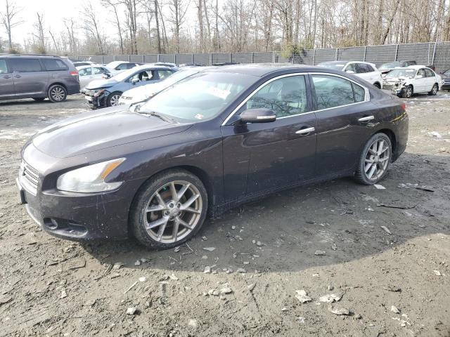 2010 NISSAN MAXIMA S 2010 image