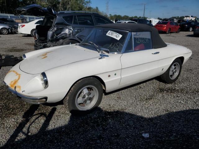 1967 ALFA ROMEO DUETTO CON 1967 image