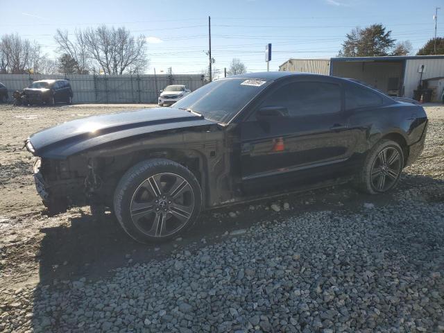 2014 FORD MUSTANG  2014 image