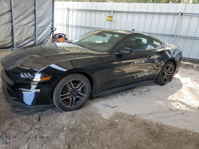 2023 FORD MUSTANG  2023 image