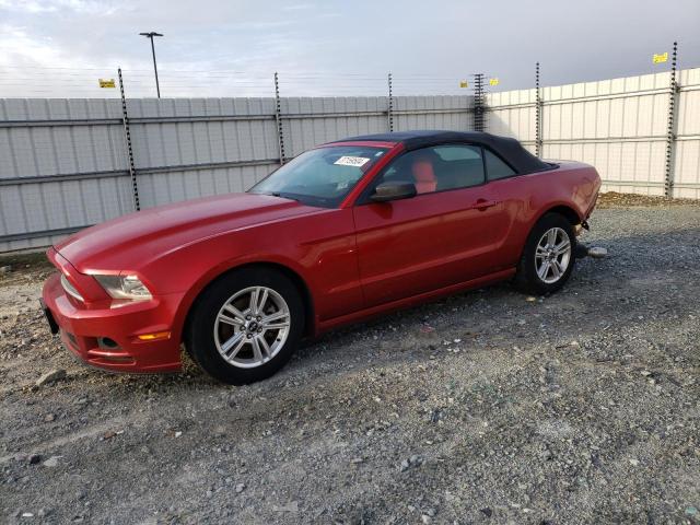 Image 1 of 2013 FORD MUSTANG  2013 with VIN 1ZVBP8EM4D5215711