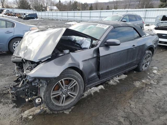 2013 FORD MUSTANG  2013 image