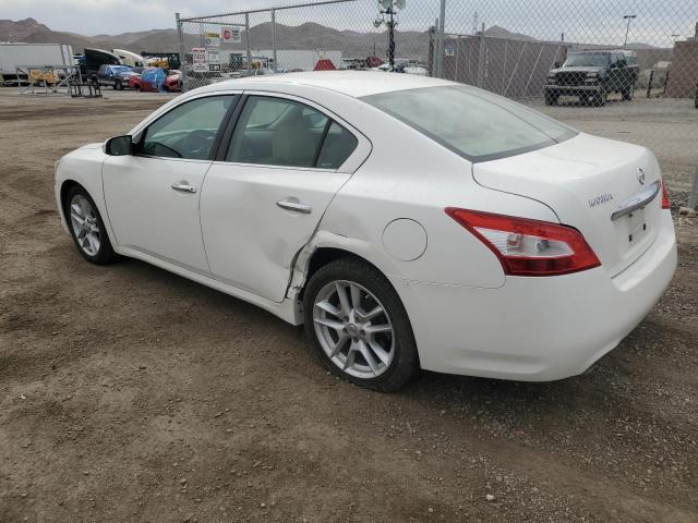 Image 2 of 2009 NISSAN MAXIMA S 2009 with VIN 1N4AA51E09C830987