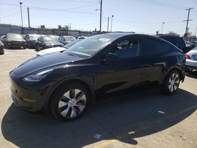 2023 TESLA MODEL Y  2023 image