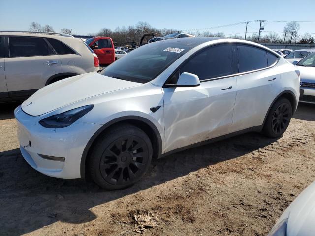 2023 TESLA MODEL Y  2023 image