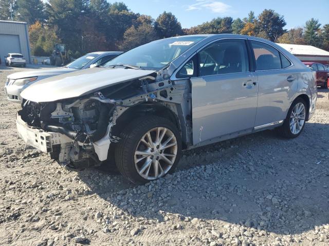 Obraz 2010 LEXUS HS 250H 2010