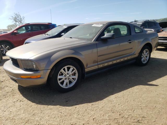 Изображение 1 2005 FORD MUSTANG  2005 с VIN 1ZVFT80N655210685