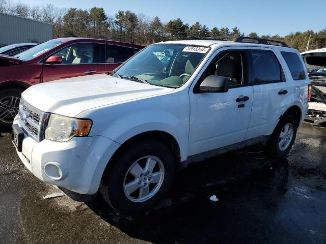 2009 FORD ESCAPE XLT 2009 image