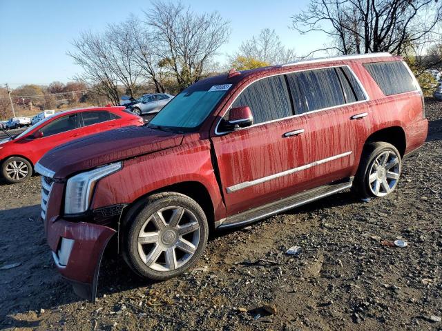 Obraz 2016 CADILLAC ESCALADE LUXURY 2016