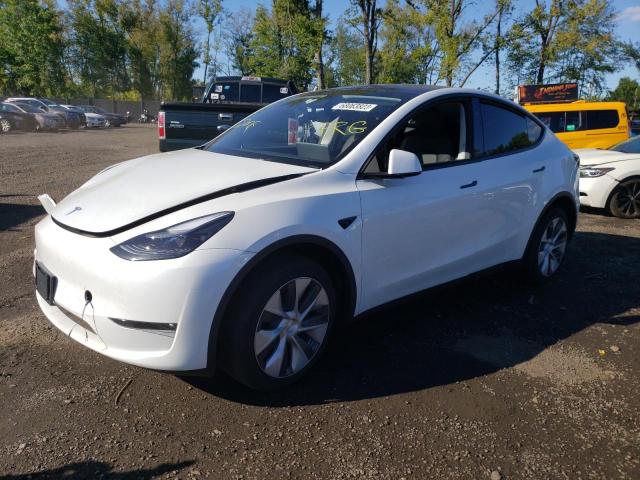 2023 TESLA MODEL Y  2023 image