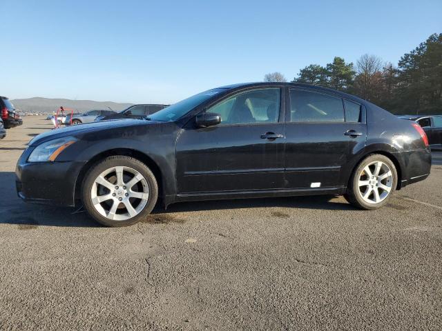 Obraz 2008 NISSAN MAXIMA SE 2008