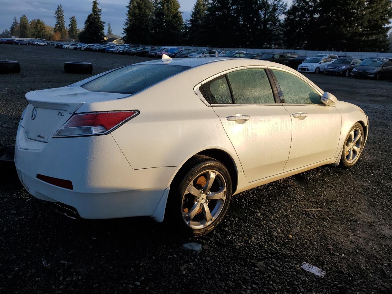 Изображение 3 2009 ACURA TL  2009 с VIN 19UUA96599A000321