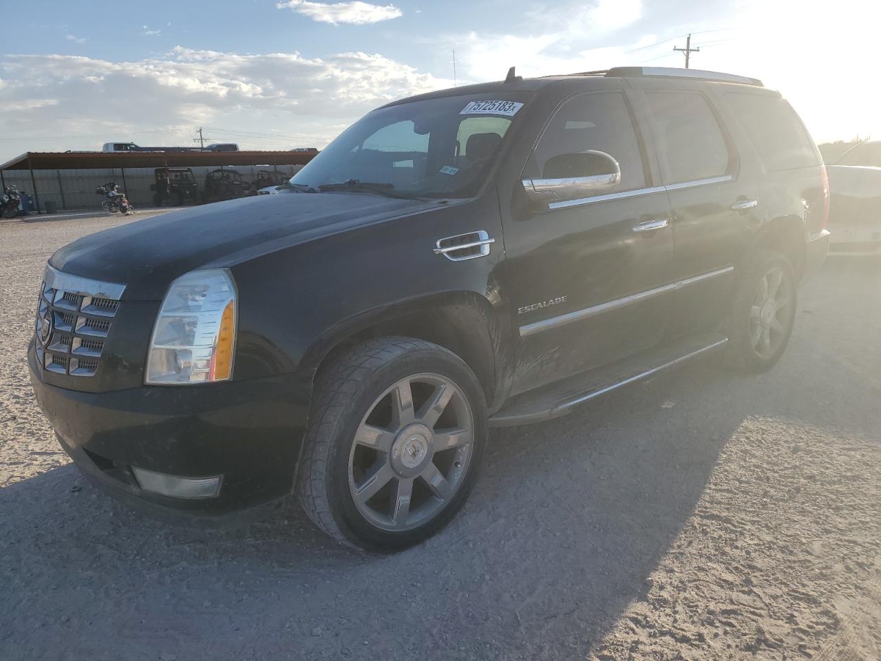 2013 CADILLAC ESCALADE  2013 image